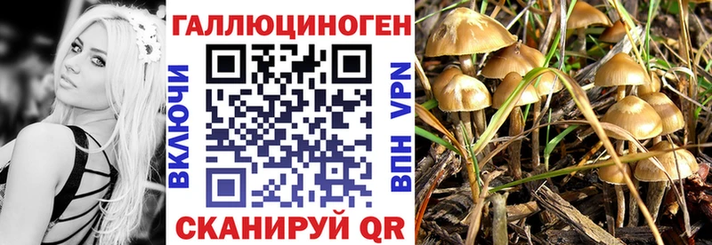 Галлюциногенные грибы GOLDEN TEACHER  Купить где  Кирово-Чепецк 